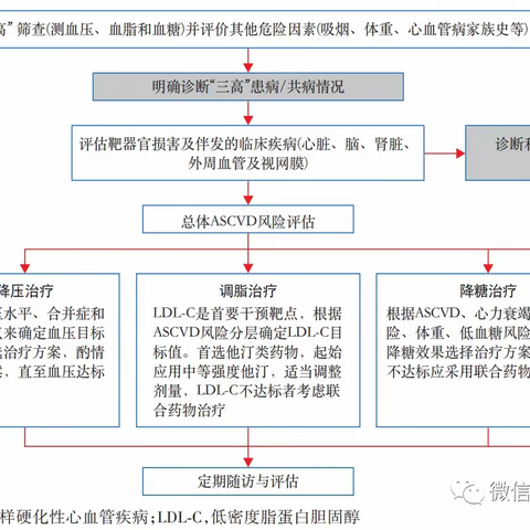 三高如何管理——来找南石全科