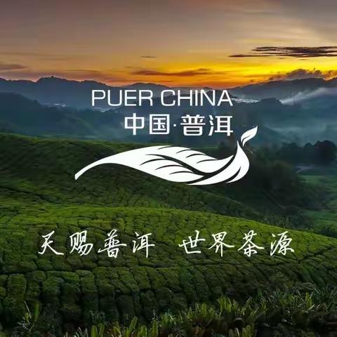 【 探秘景迈•醉美酒井 】7.27～7.31 云南普洱精品游学活动