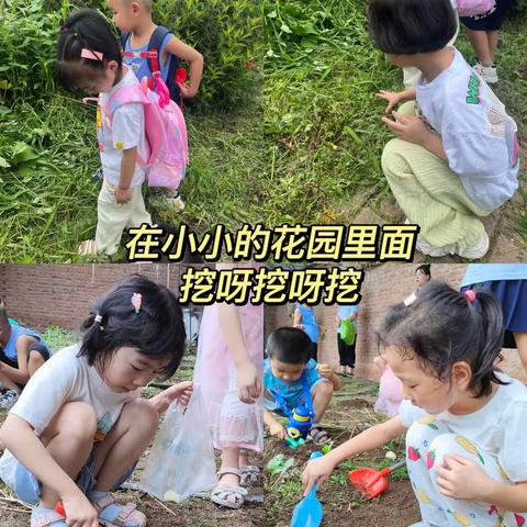 千玺幼儿园采摘出游活动