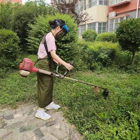 苗书雅组的美篇