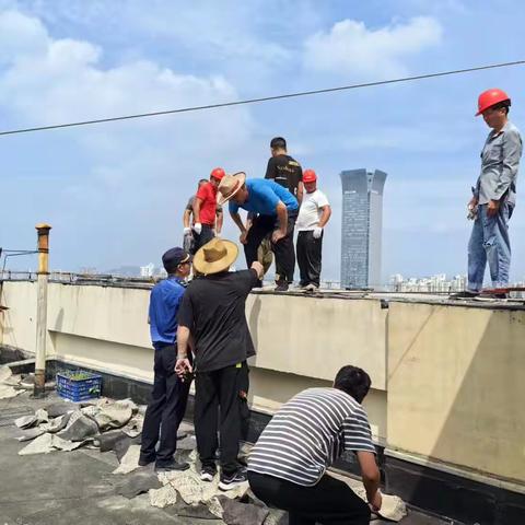 局党组成员、副局长谢忠祥一行莅临南汇中队调研指导三改一拆工作