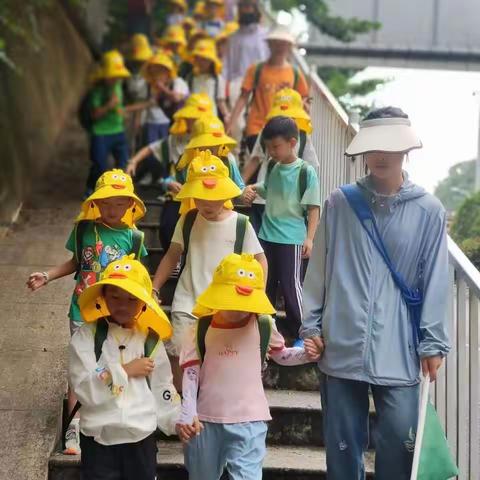 夏令营第四天之徒步“见证行走的力量”