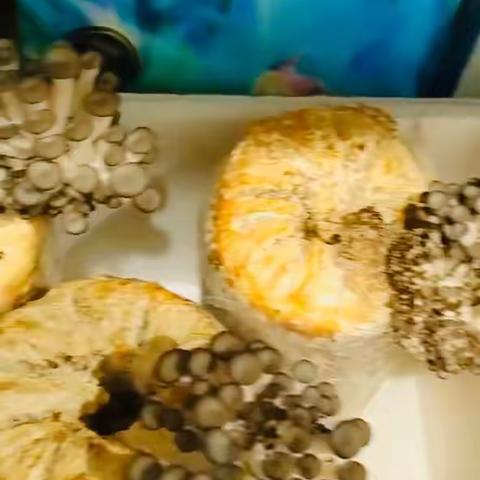 《劳动遇见美好》——朱梓睿的蘑菇🍄