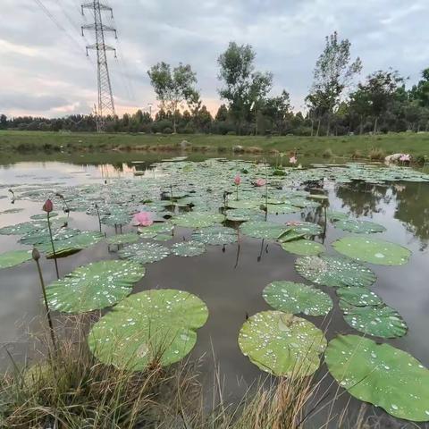 暑假任务