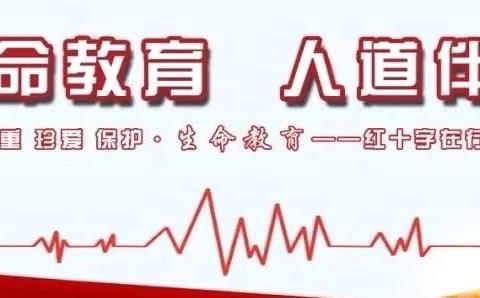 区红十字会2024年民生实事项目暨“生命安全 应急救护”培训走进村居社区