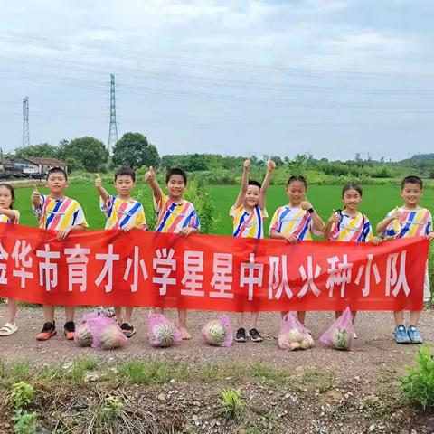 感受农耕劳动，体验种植养殖——金华市育才小学三（1）班火种小队在田间地头的暑期实践