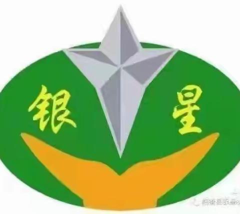 银星小学部的美篇