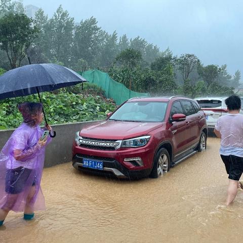 以“讯”应汛   以齐应汛