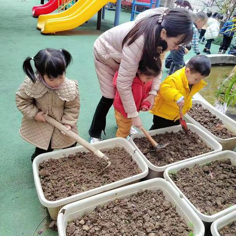 56期康祺幼儿园宏安托育开心农场