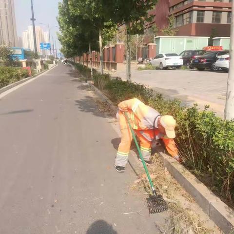 加强清扫保洁力度，提高安全意识
