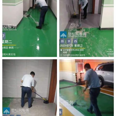 碧桂园锦绣西湖周工作汇报