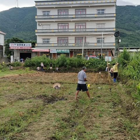 下中村：组织村民清理灌溉水渠，保耕种，促生产