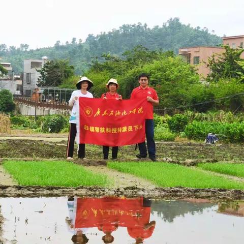 乡约北界||总结实践收获，准备再次启程