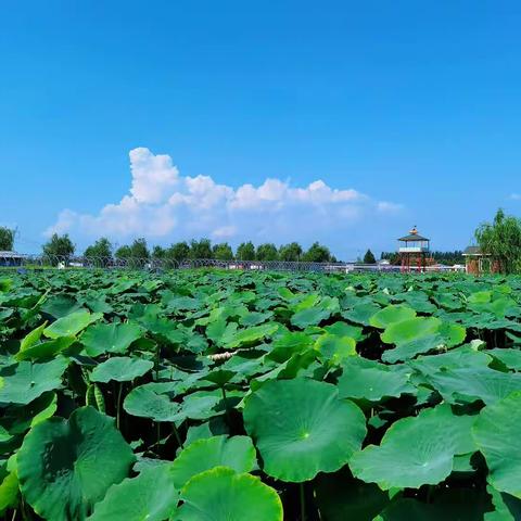 区纪委监委机关第五党支部到区廉洁文化教育基地开展7月份主题党日活动