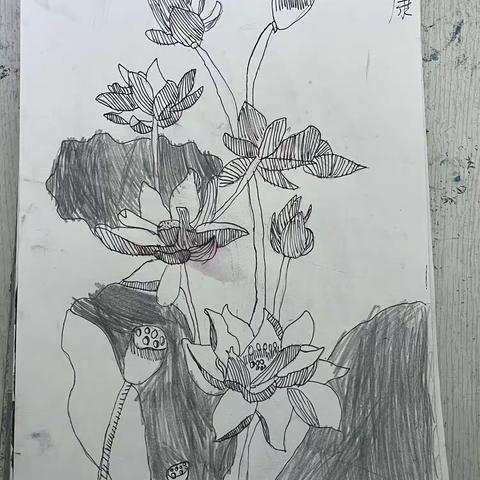 康睿小朋友的绘画作品欣赏