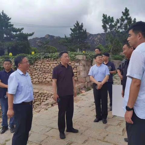 崂山区委副书记徐志向带队调研流清湾市级乡村振兴示范片区工作