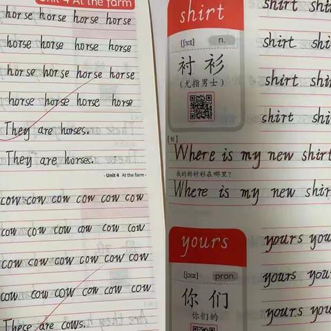 缤纷特色作业 乐享精彩假期——城关三小四年级常识组特色作业展示