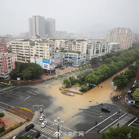 福建中园市政 抗击台风“杜苏芮” 泉州我们来了