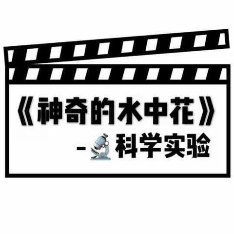 科学小实验：《神奇的水中花》