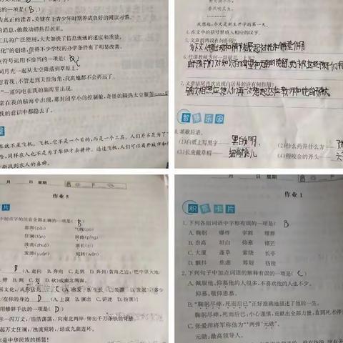 快乐暑假，缤纷多彩    ——唐县实验中学