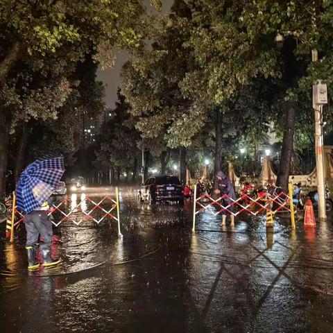 闻“汛”而动，风雨同舟