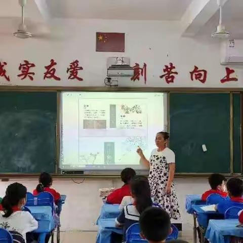 走进清明，走近传统—三亚市吉阳区田独小学召开“传统节日—清明节”主题班会活动