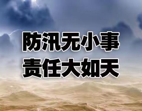 闻“汛”而动勇担当 筑牢汛期“安全墙”