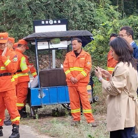 《石山镇》防火护林 毫不松懈