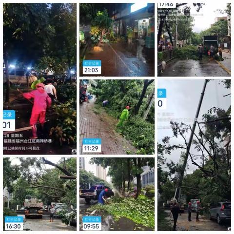 致敬！风雨中坚守的台江园林工人！