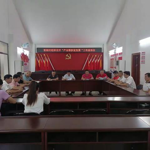 新联村组织召开“产业帮扶促发展”工作座谈会