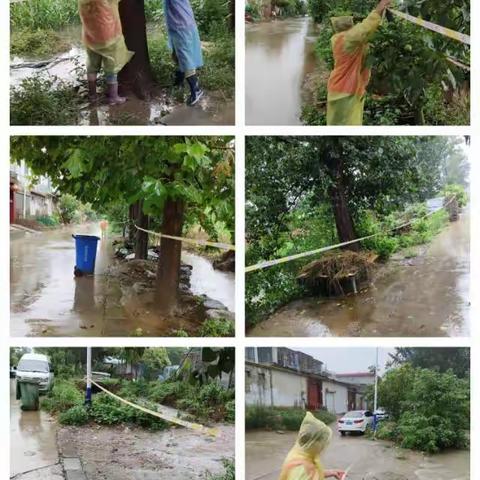 风雨中“巾帼志愿者”在行动