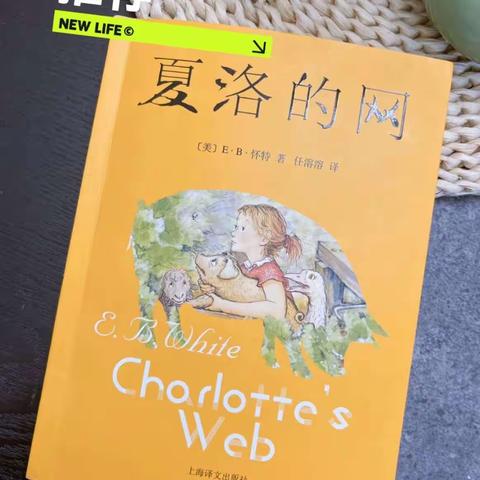 【研修活动】“书香浸润心灵，阅读伴我成长。”—孙娟区级名师+研修共同体教师读书心得 鄠邑区第二幼儿园 崔朗