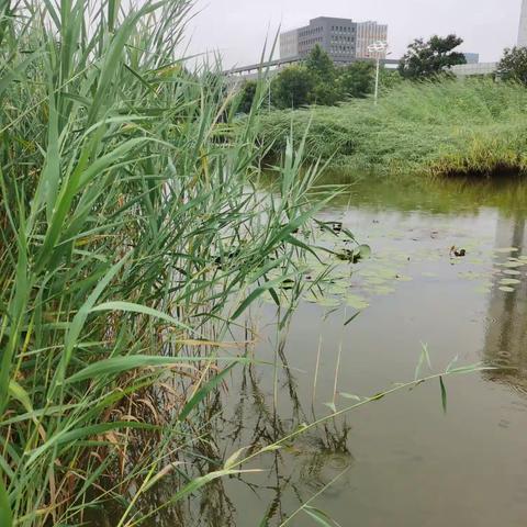 微雨里的相约