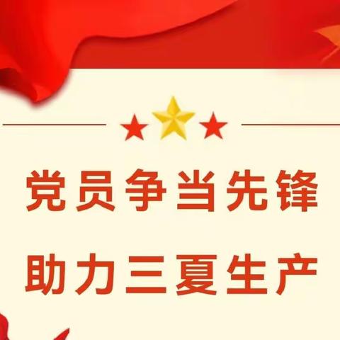 党员争当先锋，助力三夏生产——河街乡教育北区支部六月份主题党日活动