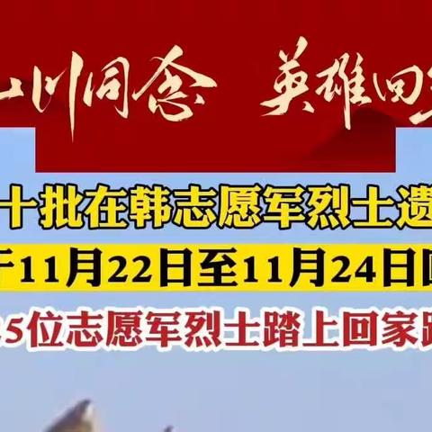 张家堡街道风景御园社区退役军人服务站组织观看第十批在韩国中国人民志愿军烈士遗骸回国直播