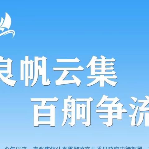 一图读懂寿张集镇“良帆云集 百舸争流”工作品牌半年成绩单