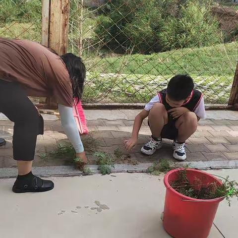 达拉特旗第二小学暑假值周——四年级五班