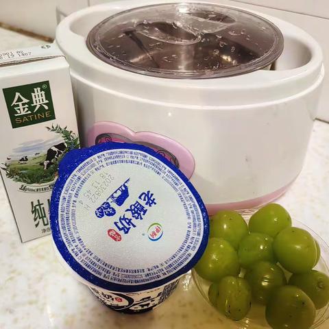 自制老酸奶
