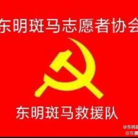 东明斑马救援队2023年7月份下半月出勤记录汇总