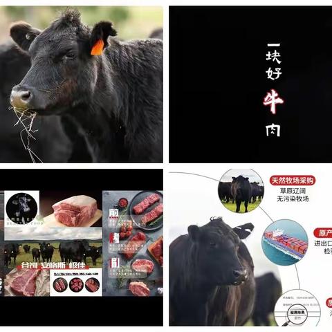 全球直采  一块好牛肉 河南·郑州利人冻品商贸有限公司（信基店）