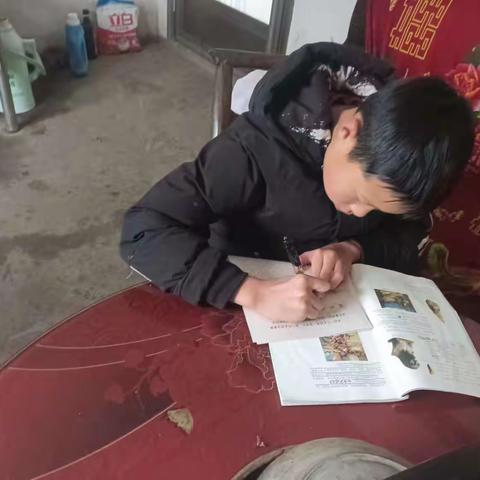 体验多彩实践 乐享缤纷寒假 —陡山河中学假期“六个一”活动剪影合集