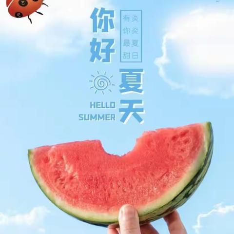 【传承中华文化，培养良好习惯】我喜欢的夏日六节气