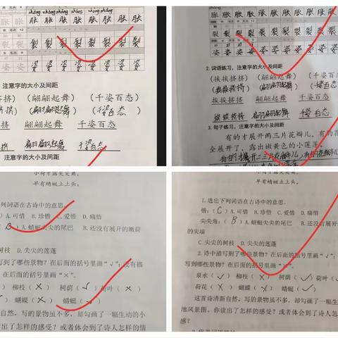 多彩暑期生活之三年级暑期作业检查