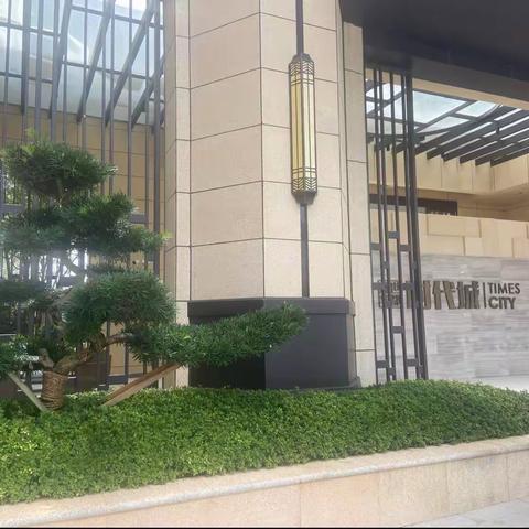 盛世华都【时代城】火热交房中