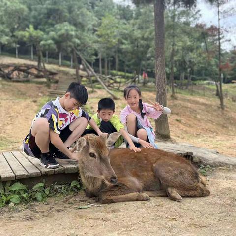 昆明野生动物园