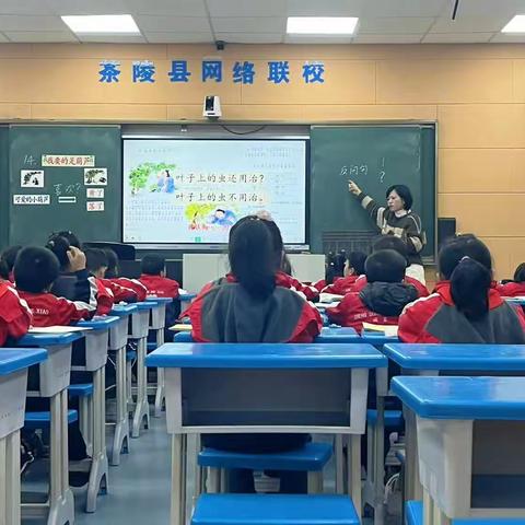 “聚焦语文要素，精准落实语用”——城东学校小学部语文组教研活动