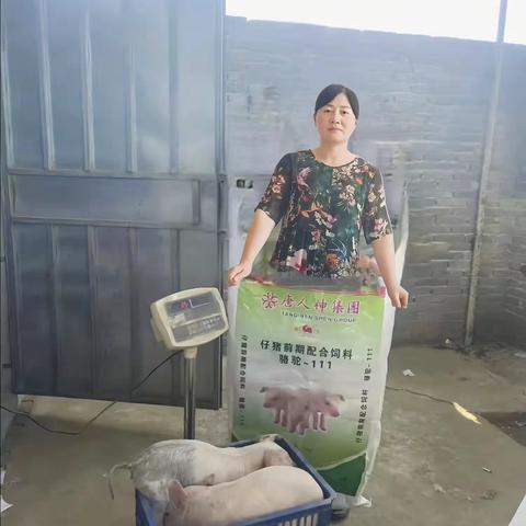 马到功成的美篇