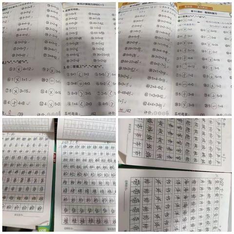 范公小学1.1班赵紫妍快乐暑假记实