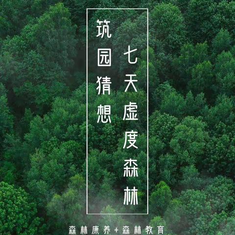 重塑身心的亲子成长之旅