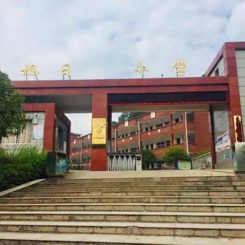 旭日小学2024年秋季一年级新生招生公告